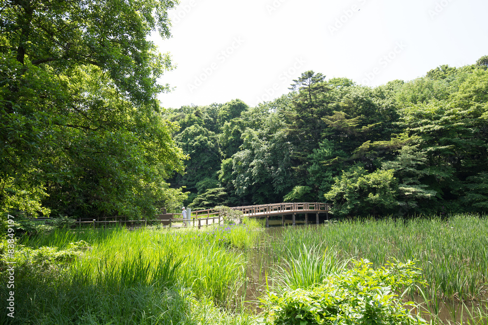 石神井公園 石神井公園