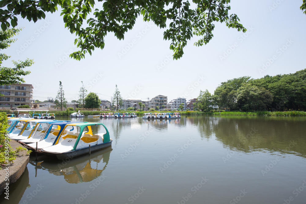 Obraz premium 石神井公園のボート