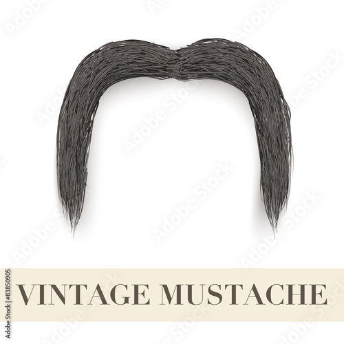 Realistic Black vintage drooping mustache
