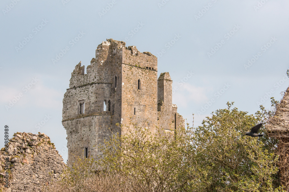 Desmond Castle Askeaton Ireland