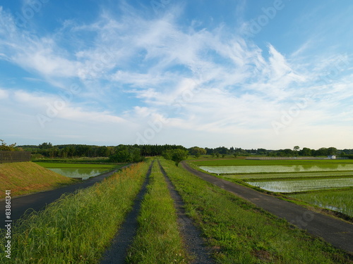 青空と田園風景 © inu_maru