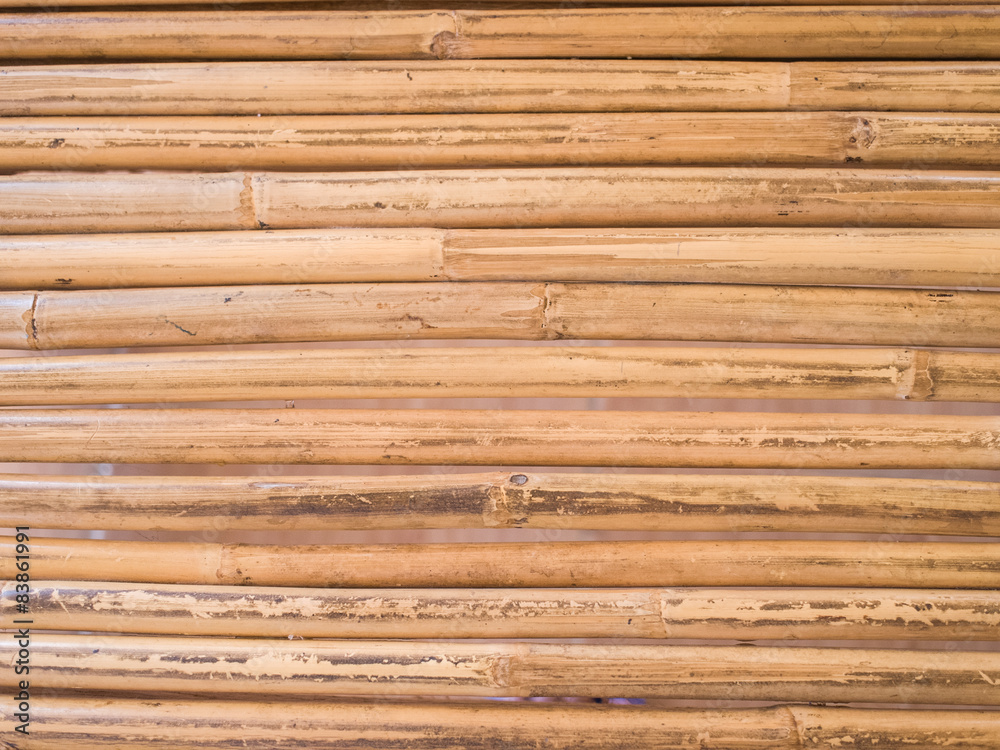 Bamboo texture Bamboo texture