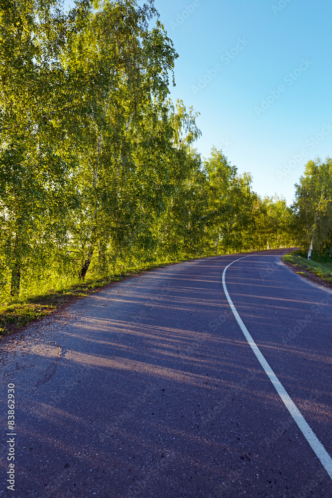 Fototapeta premium the asphalted road 