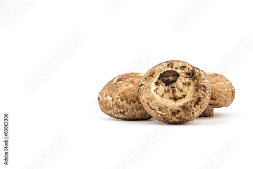 Portobello Mushroom on White Background
