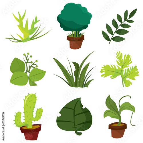 Plants and Leaves