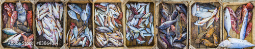 Photography Fresh fish at a market in a Mediterranean port, collage
