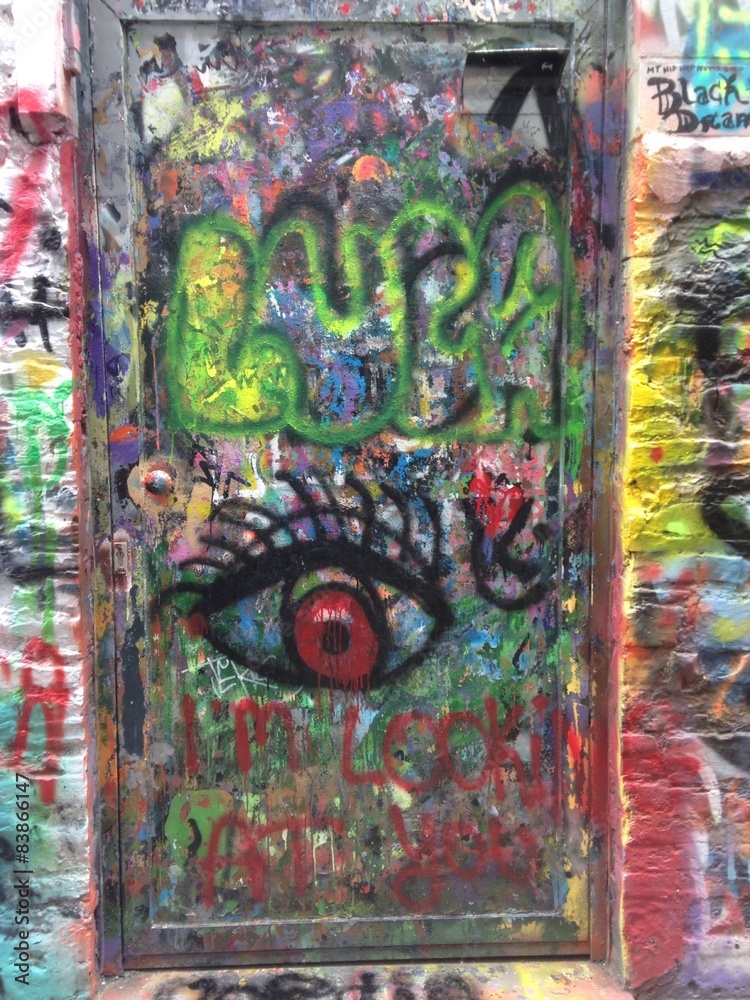 Fototapeta premium graffiti door