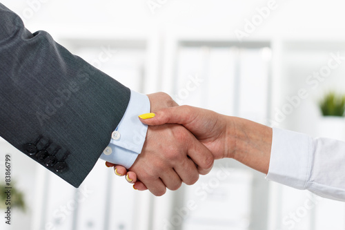 Bilde på lerret Handshake