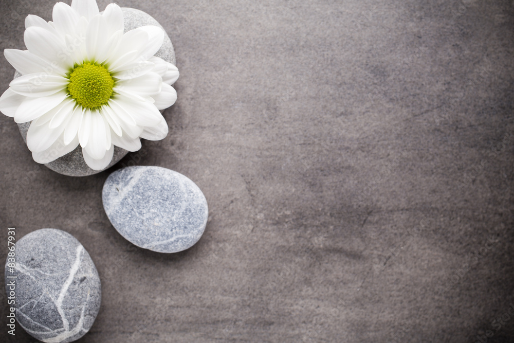 Wellness background. Wellness background.