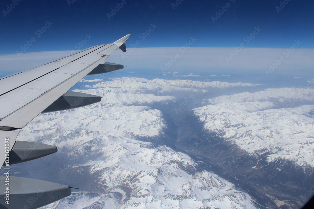 Obraz premium Fly about the mounths