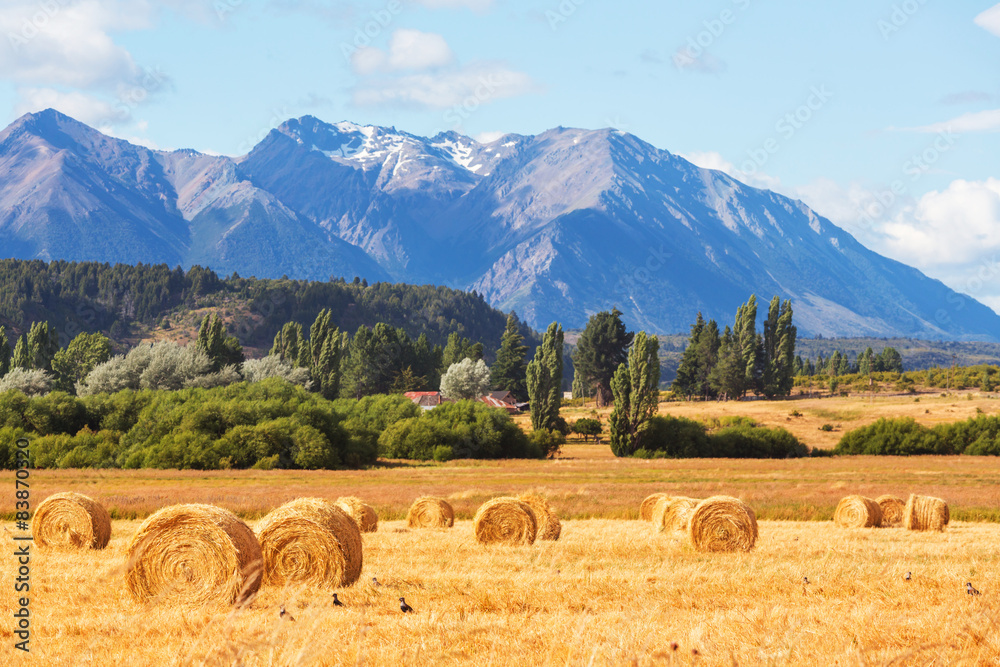 Field in Argentina