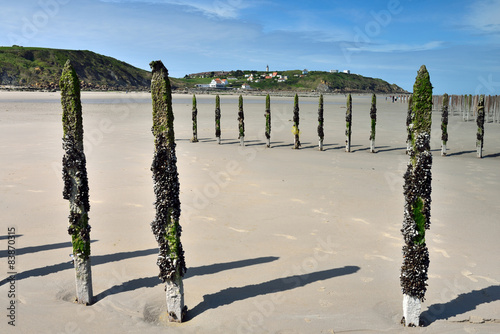 élevage de moules sur la plage photo