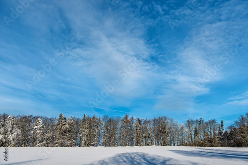 winter landscape in the forest © Vaceslav Romanov