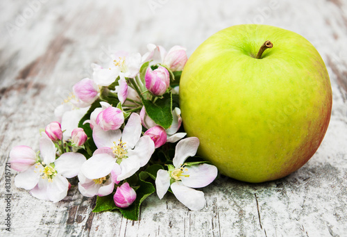 apple and apple tree blossoms