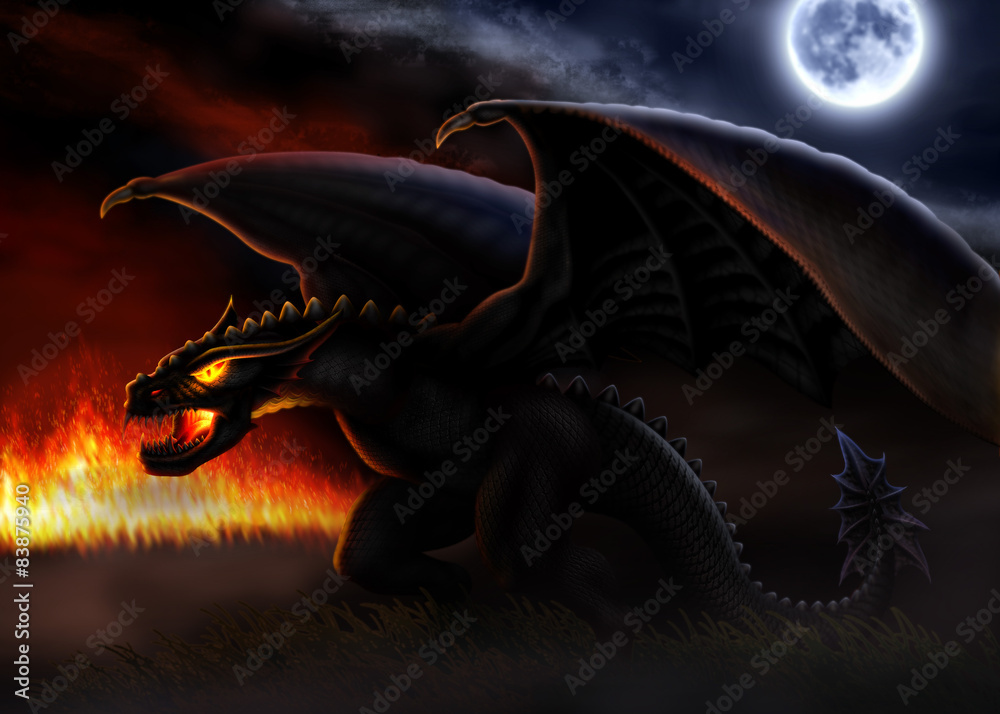 Naklejka premium Dragon / Dragon is illumined light of fire and moon