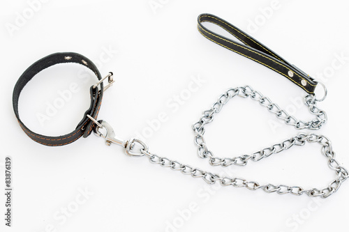 Fototapeta Naklejka Na Ścianę i Meble -  leash dog on a white background
