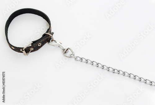 Fototapeta Naklejka Na Ścianę i Meble -  leash dog on a white background