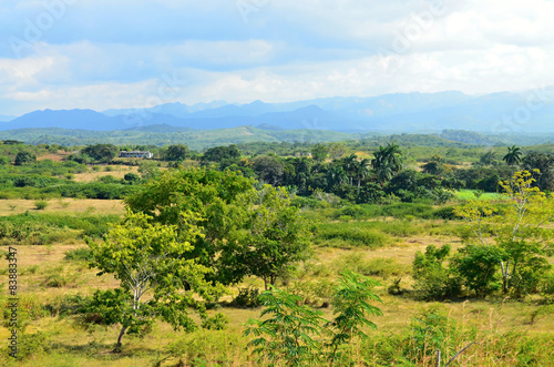 View of the landscape  tropical climate Cuba  