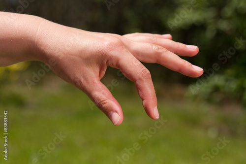 weibliche Hand, die für etwas aufhebt - anfässt © SENTELLO