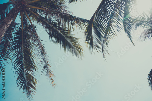 Vintage stylized palm tree over sky background