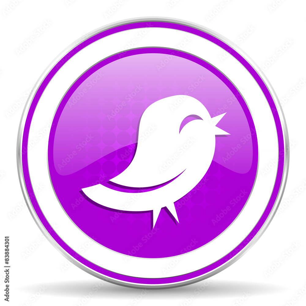 twitter violet icon