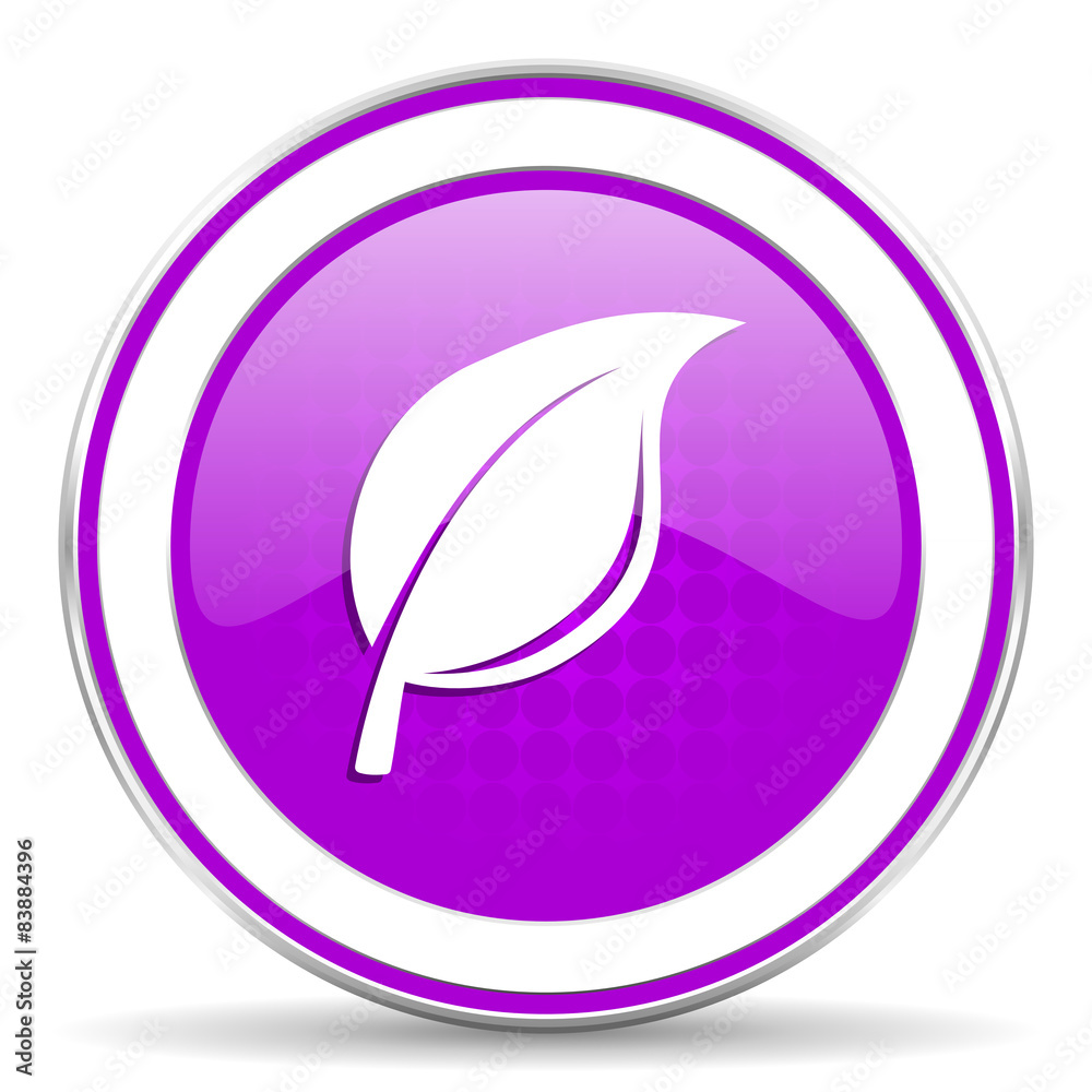 nature violet icon leaf sign