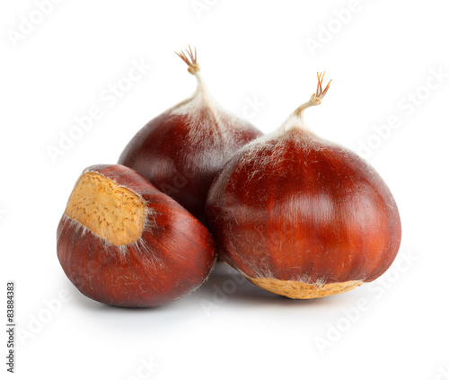 Chestnuts isolated on white photo