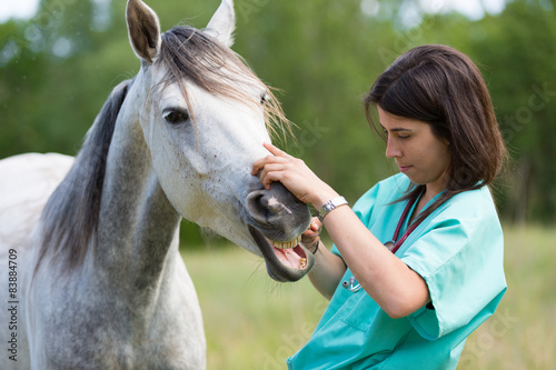 Veterinary on a farm