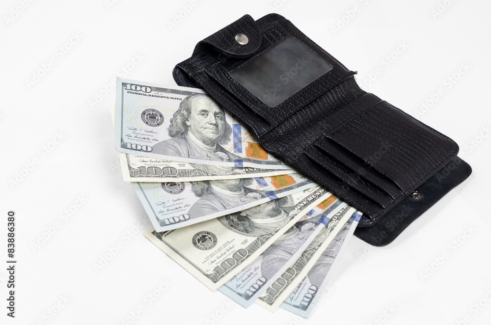 wallet with money wallet with money