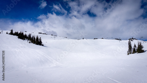 Ski slopes in the High Alpine of the ski resort of Sun Peaks