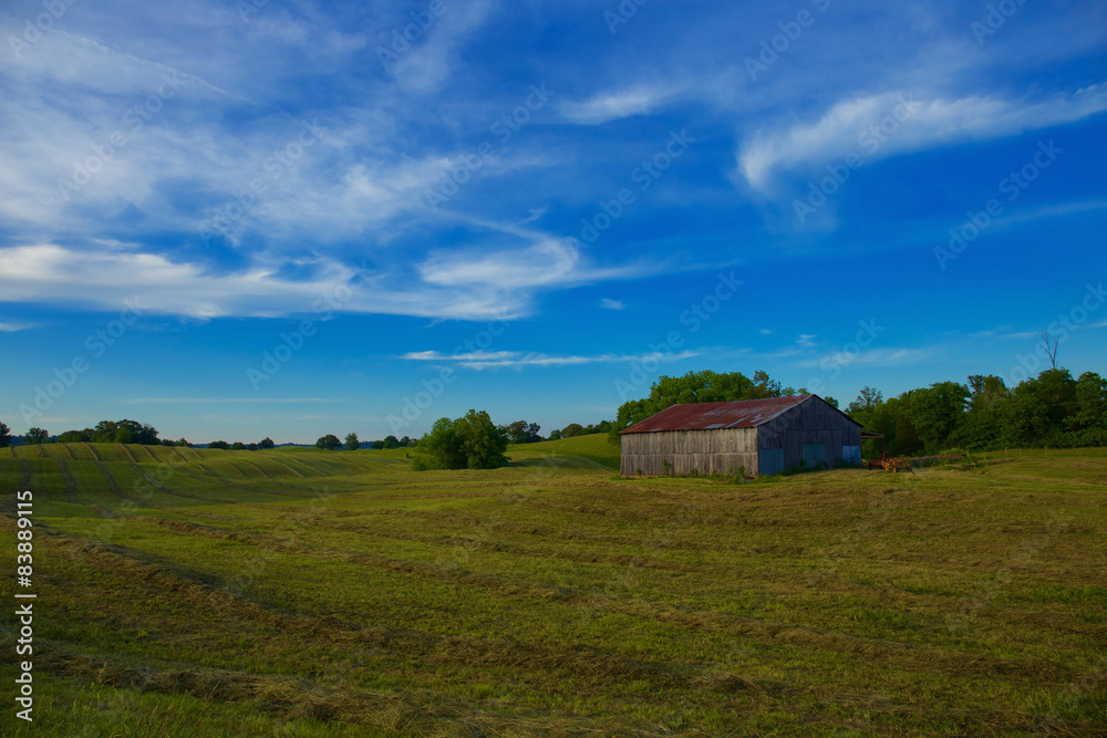American farmland with field and blue sky with white clouds 