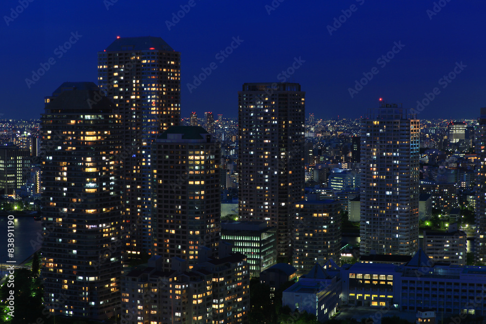 Fototapeta premium Tokyo skyline at night