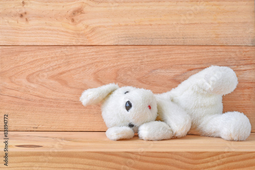 Plush dog toy with wooden background
