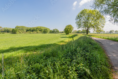 Fototapeta Naklejka Na Ścianę i Meble -  Sunny rural landscape in springtime