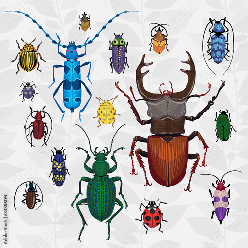 Bright vector set with colorful bugs.