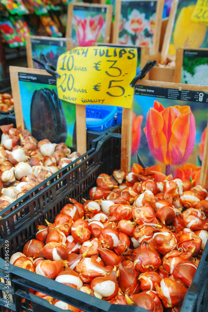 Boxes with bulbs at the Floating flower market in Amsterdam