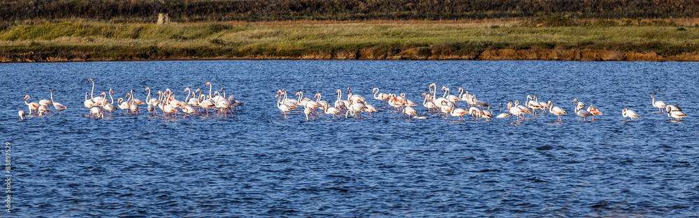Naklejka premium Saline di Trapani