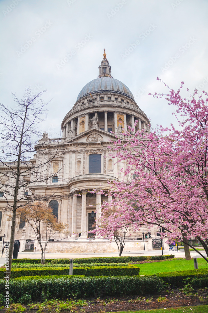 Saint Paul's cathedral in London
