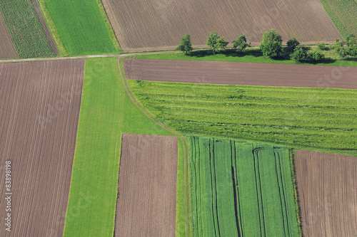 Cultivated field from above. Aerial view of cultivated fields.