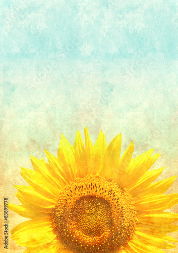 Texture of the old paper with sunflower