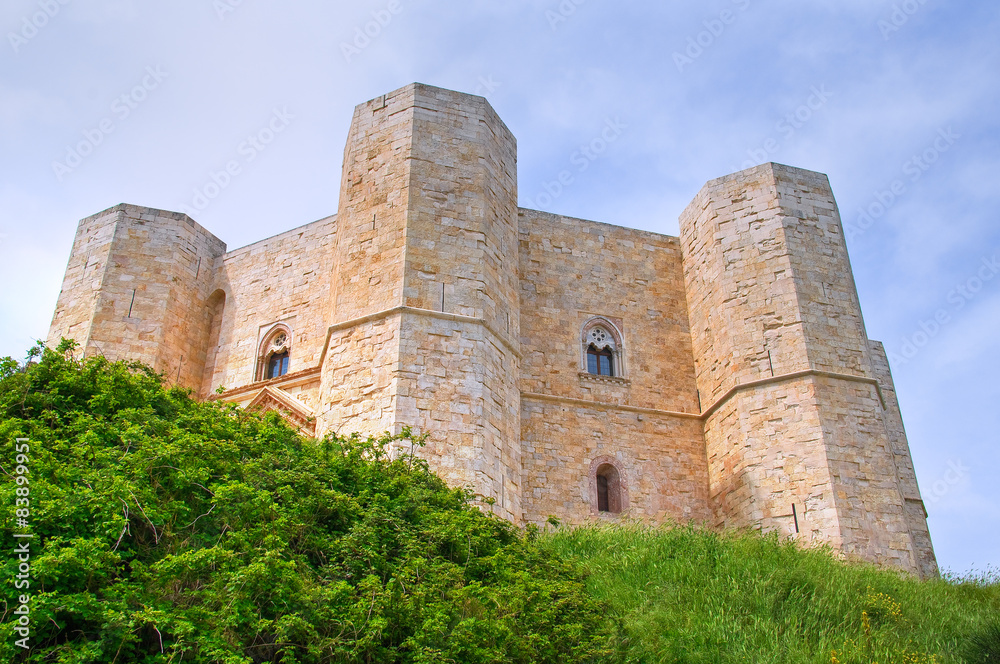 Castel del Monte of Andria. Puglia. italy. 