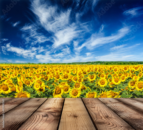 Wooden floor with sunflower field and blue sky in background