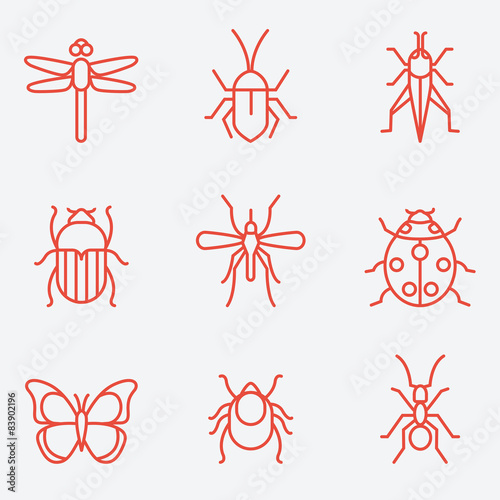 Insect icon set, thin line style, flat design