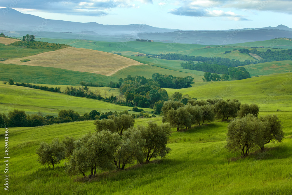 Obraz premium Scenic summer Tuscany landscape , Italy