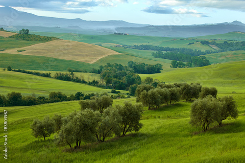 Scenic summer Tuscany landscape , Italy