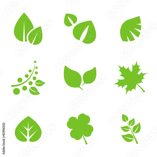 Set of Green Leaves Design Elements.