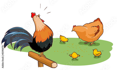 rooster hen and chicks family on backyard vector