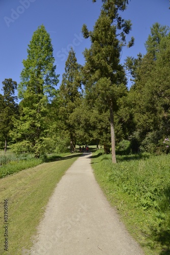 Chemin dans la nature luxuriante du parc Solvay à la Hulpe