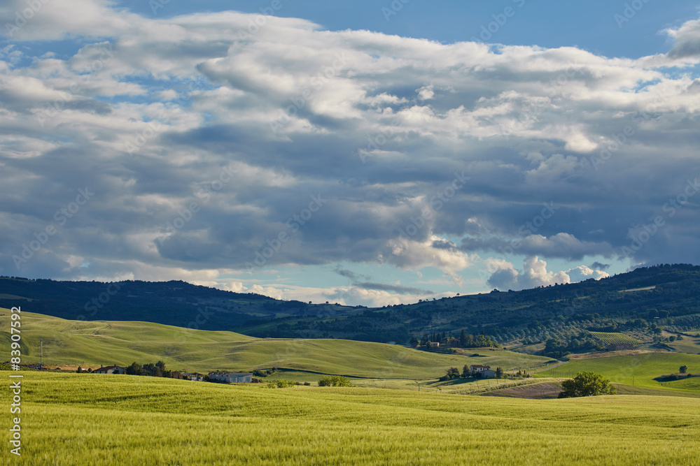 Obraz premium Scenic summer Tuscany landscape , Italy