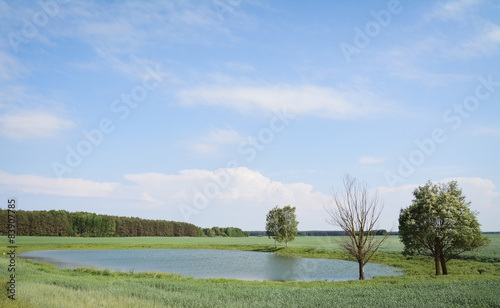 lake in the field